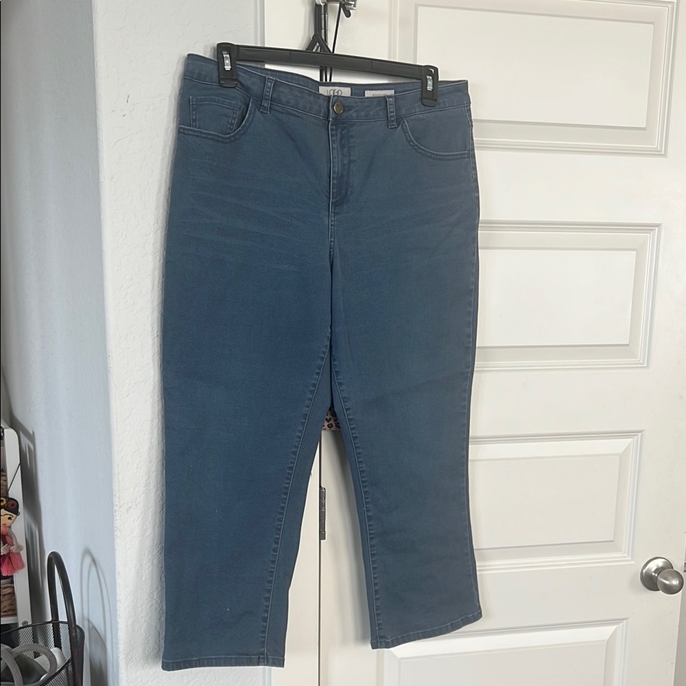 LOGO by Lori Goldstein Blue Flare Wide Leg Jeans